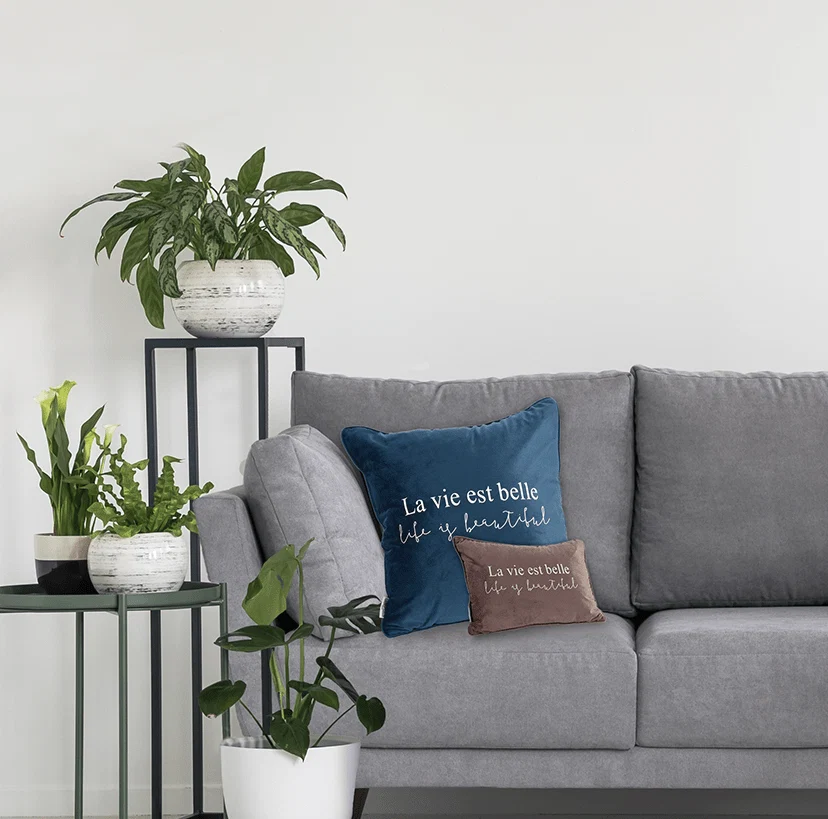 Elite Life is Beautiful Cushion Functional