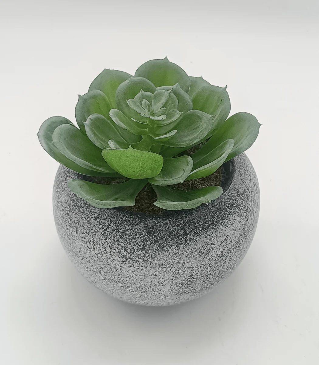 Selected Vintage-Style Succulent 9.5 x 9 cm 3.5 x 3.5 Prestigious