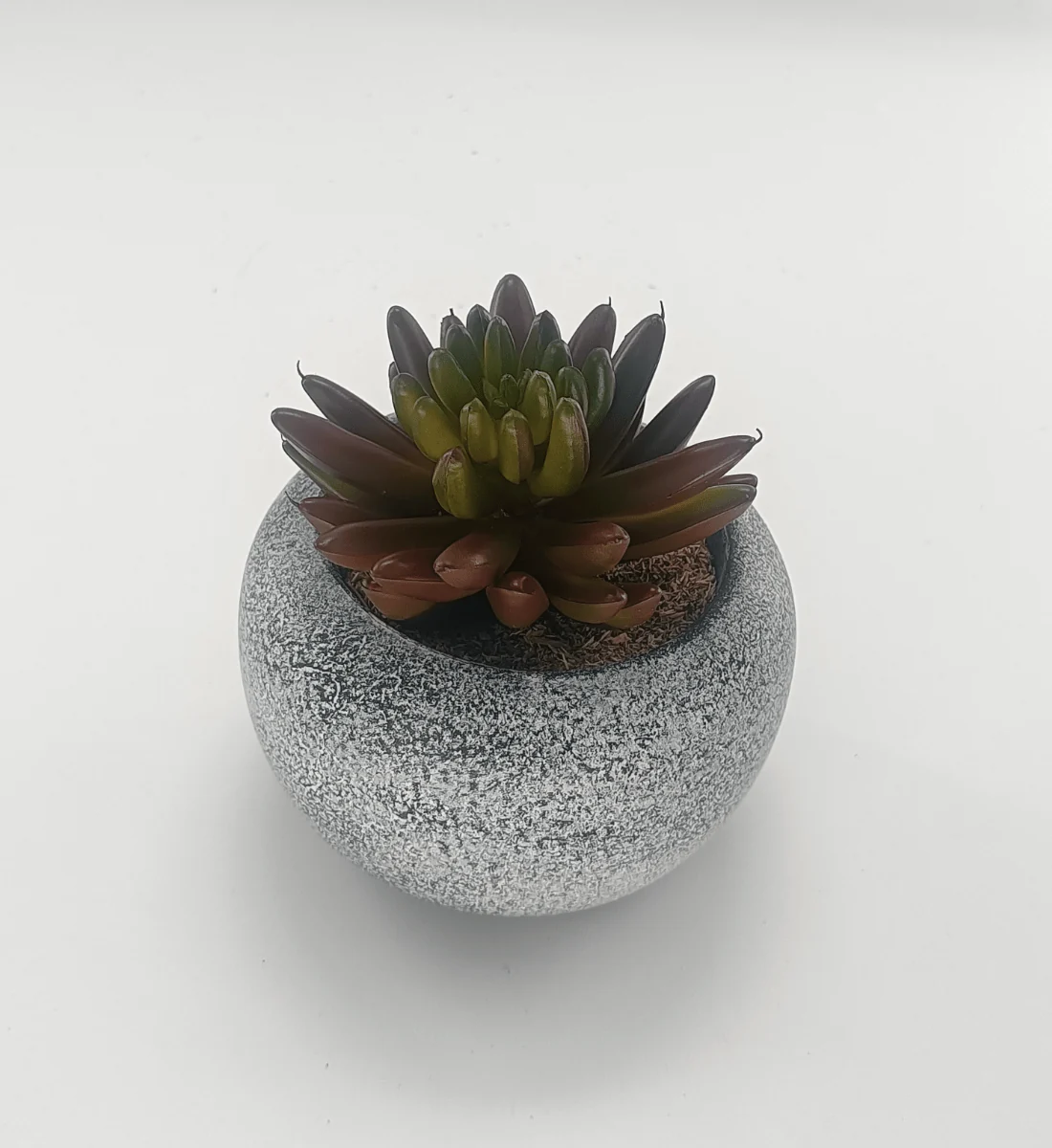 Smooth Vintage-Style Succulent 9.5 x 10 cm 3.8 x 4 Contemporary