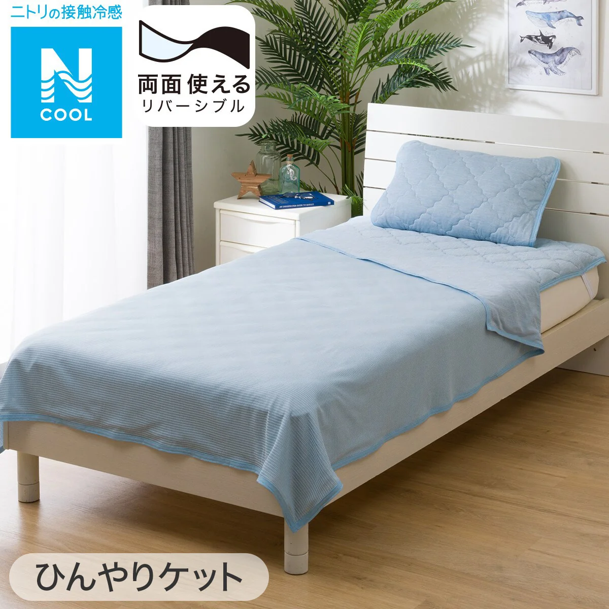 World-Class ICY KET N COOL D BL S2401 Original Design