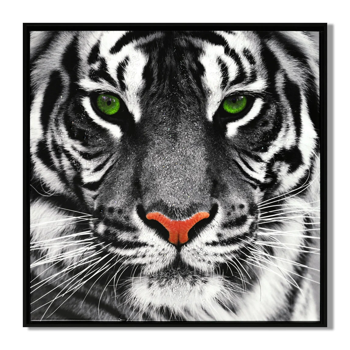 Next-Generation LAUREN TAYLOR-Canvas Animal 63X63X3.5 Expertly Made