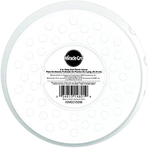 Easy-to-Use DEEP DISH PLASTIC SAUCER 8 quot Green