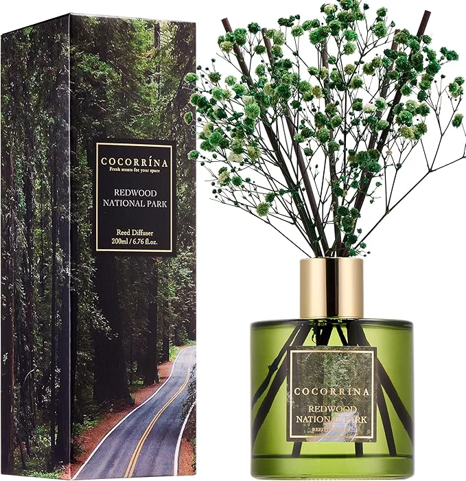 Durable COCORRÍNA Reed Diffuser Pure