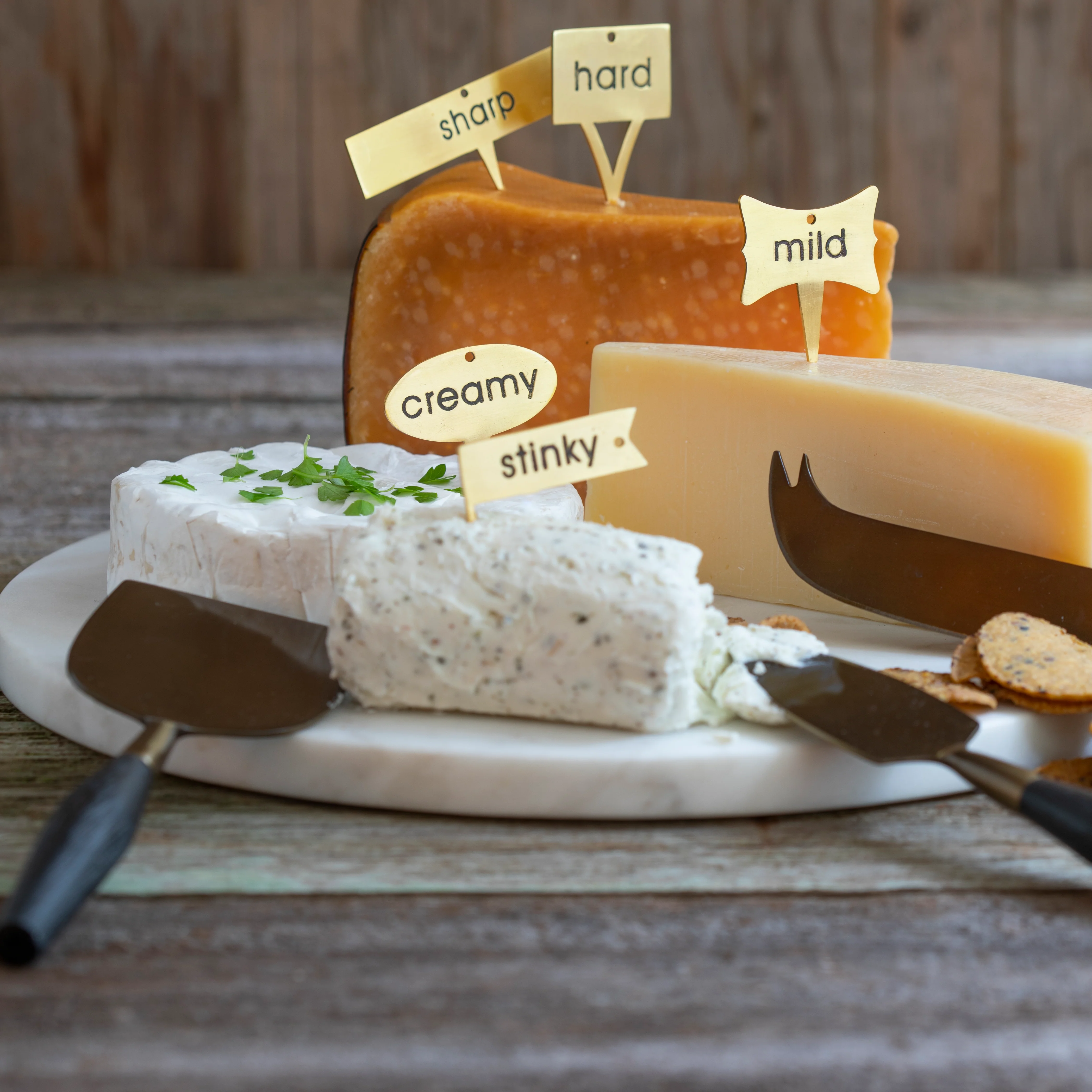 Minimalist Luxe Cheese Markers Set of 5 Classic