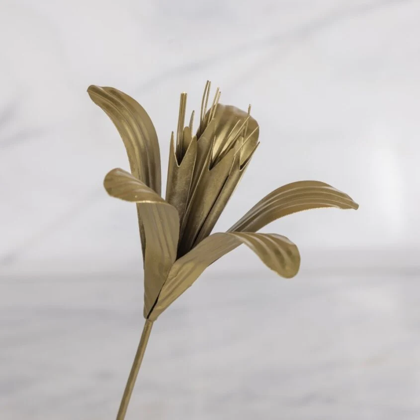 Sophisticated Botanical Stem Lily Enhanced