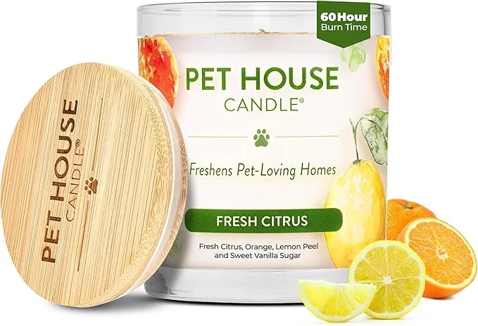 Modern One Fur All Pet House Candle Plant-Based Soy Luxury