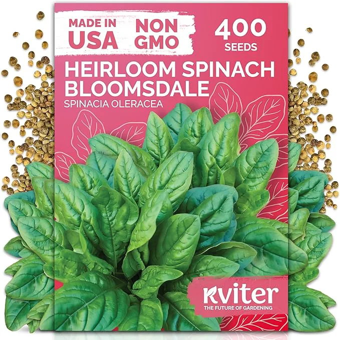 Next-Generation KVITER 400 Bloomsdale Spinach Seeds — Non-GMO Heirloom Heat Tolerant Excellent