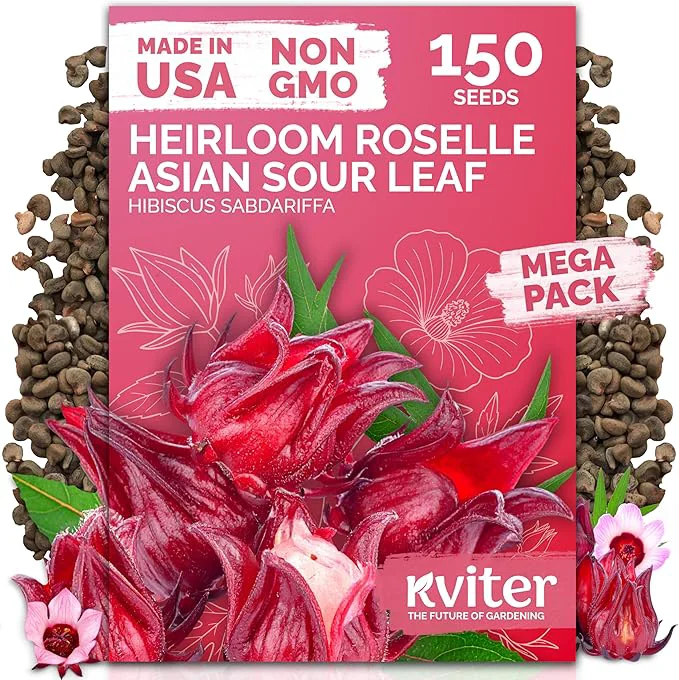 Crafted KVITER 150 Roselle Seeds for Planting – Jamaican Sorrel Cranberry Hibisco Traditional