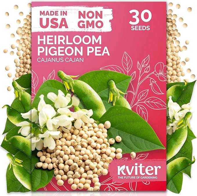 Quality KVITER 30 Guandules Pigeon Peas Seeds Functional
