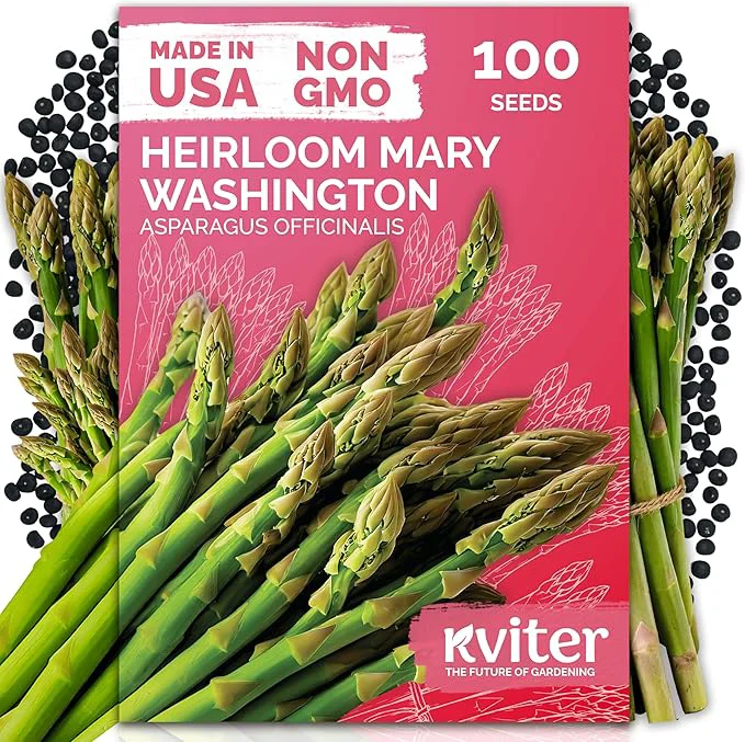 Consistent KVITER 100 Mary Washington Asparagus Seeds – Heirloom Non GMO Asparagas Seed Excellent