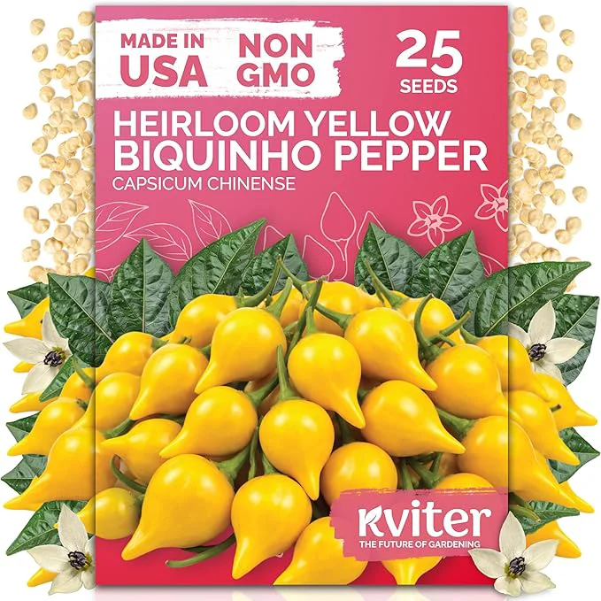 Green KVITER 25 Yellow Biquinho Pepper Seeds Organic