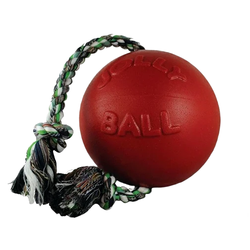 Fast Jolly Pets Small Romp-N-Roll Ball 4.5 in. Official
