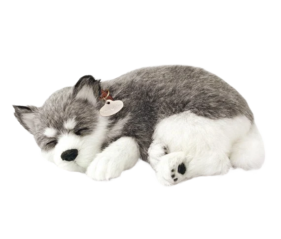 Pure Petzzz Alaskan Husky Pet Clean