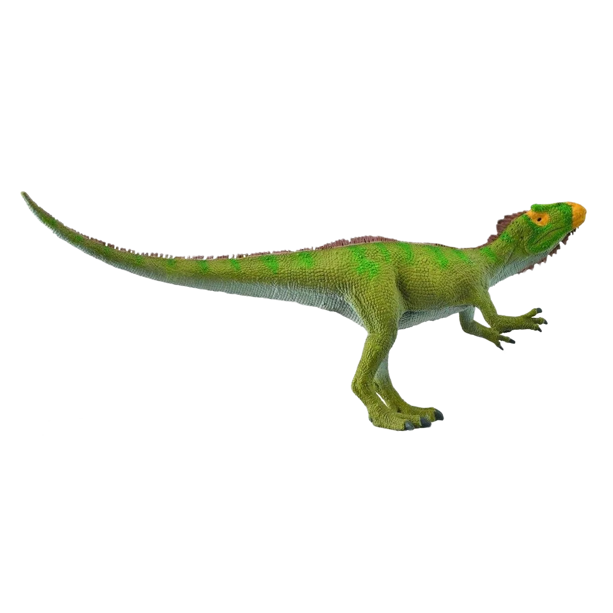 Stylish CollectA Neovenator Scenting Prey Official