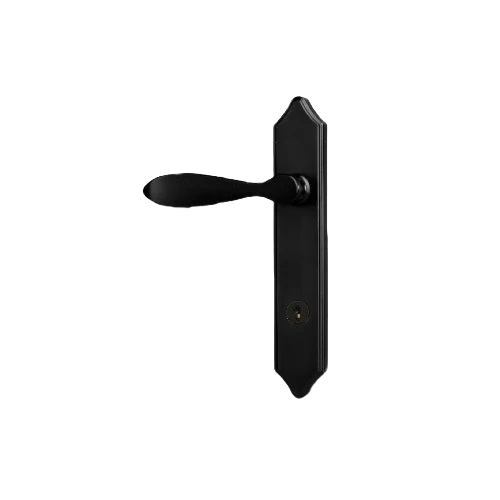 Innovative Provia DH245 Windsor Storm Door Lever Coal Black Fast