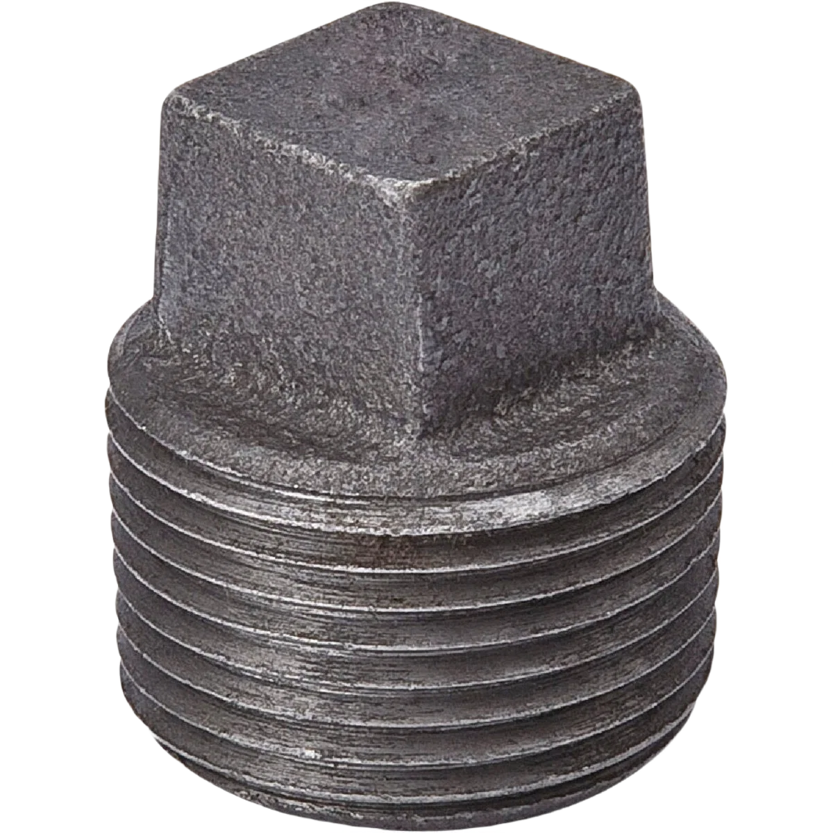 World-Class B K 2 In. Malleable Black Iron Pipe Plug Professional