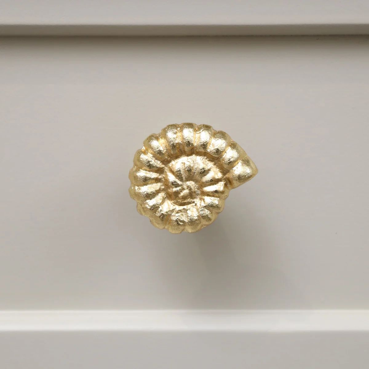 Official Gold Fossil Drawer Knob Healthy