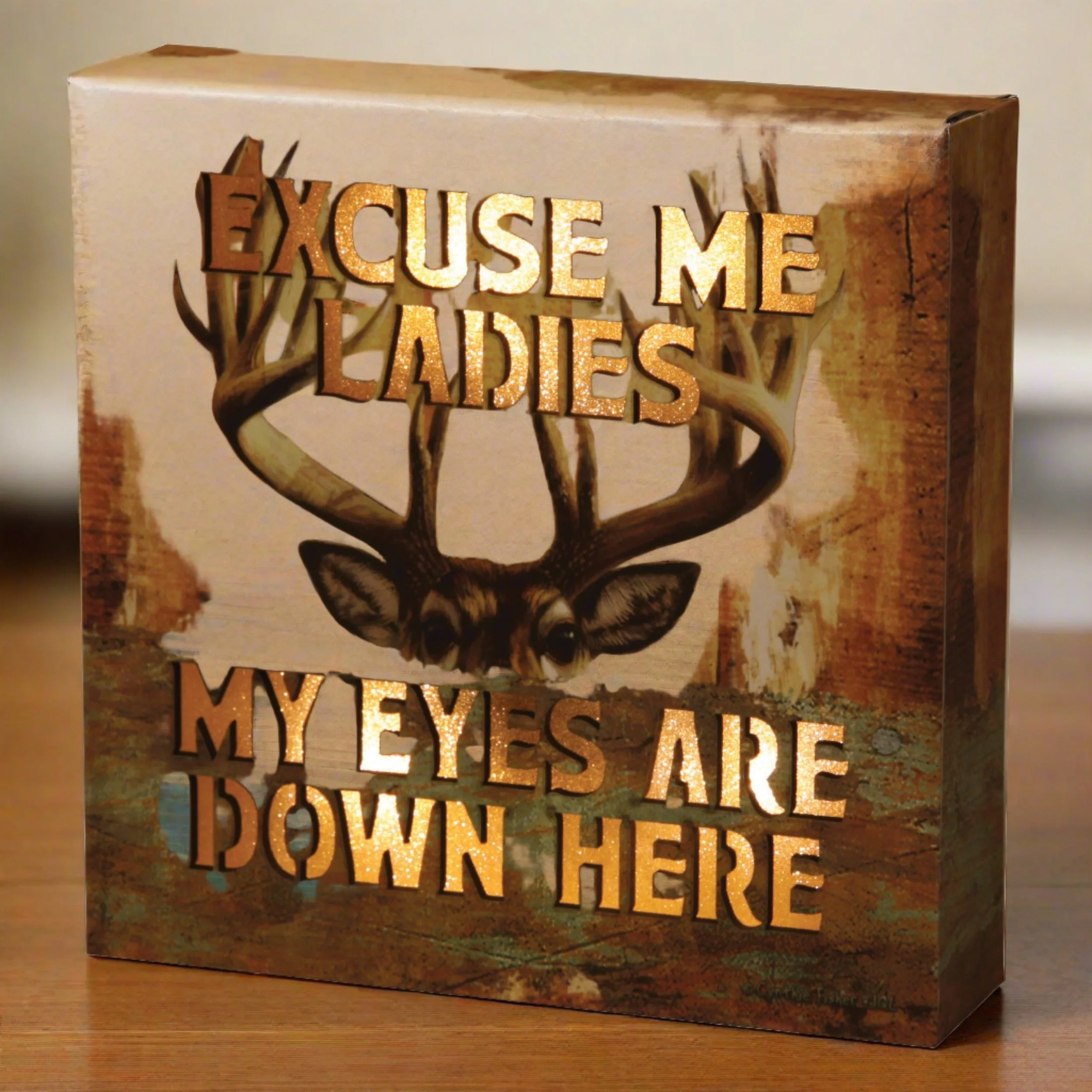 Carefully Designed LED Box 6in x 6in-Excuse Me Ladies Innovative