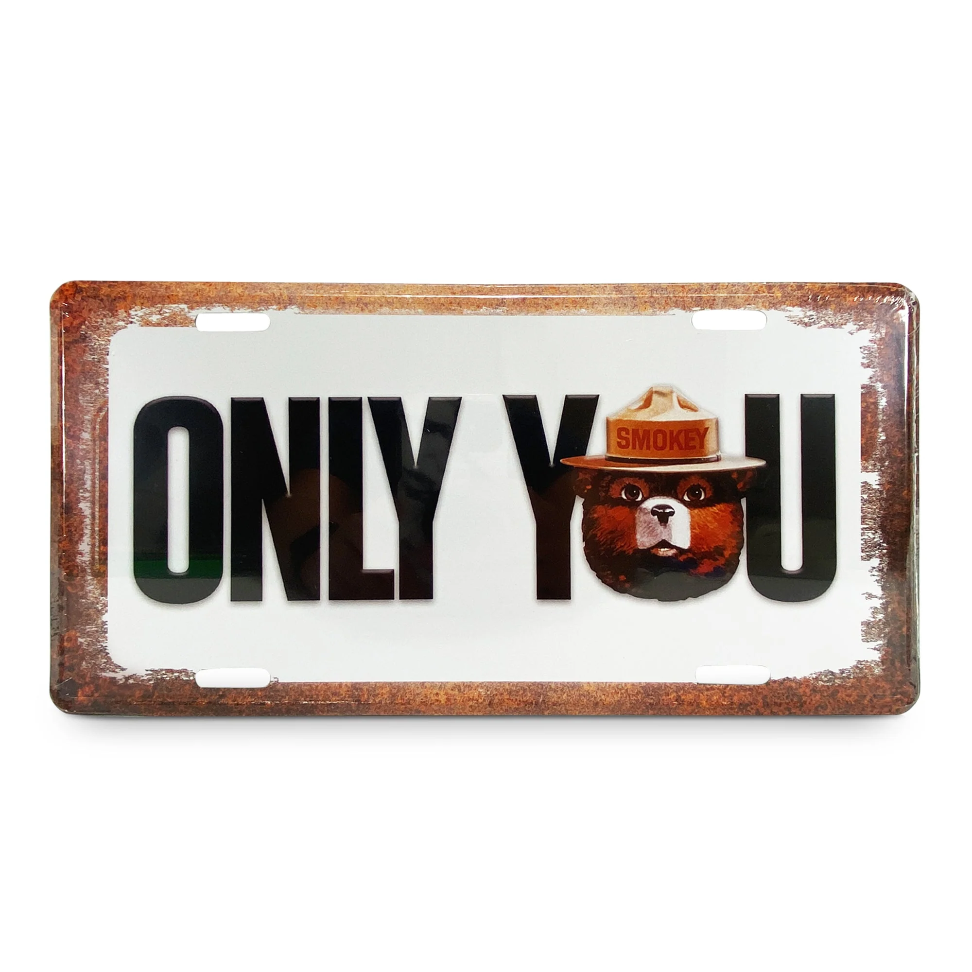 Secure Vanity License Plate 12in x 6in-Only You Functional
