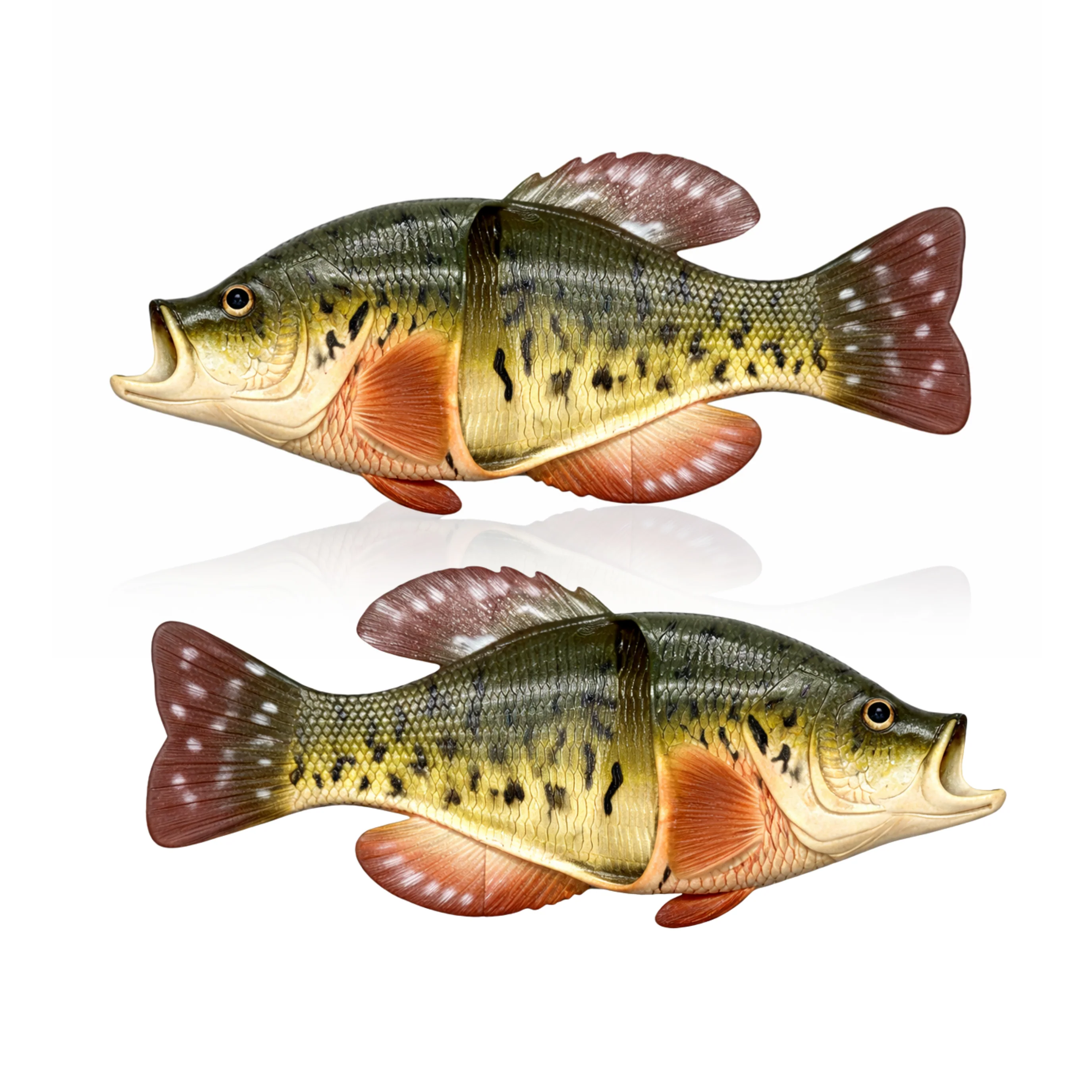 User-Friendly Fish Sandal Adult Medium-Crappie Responsible