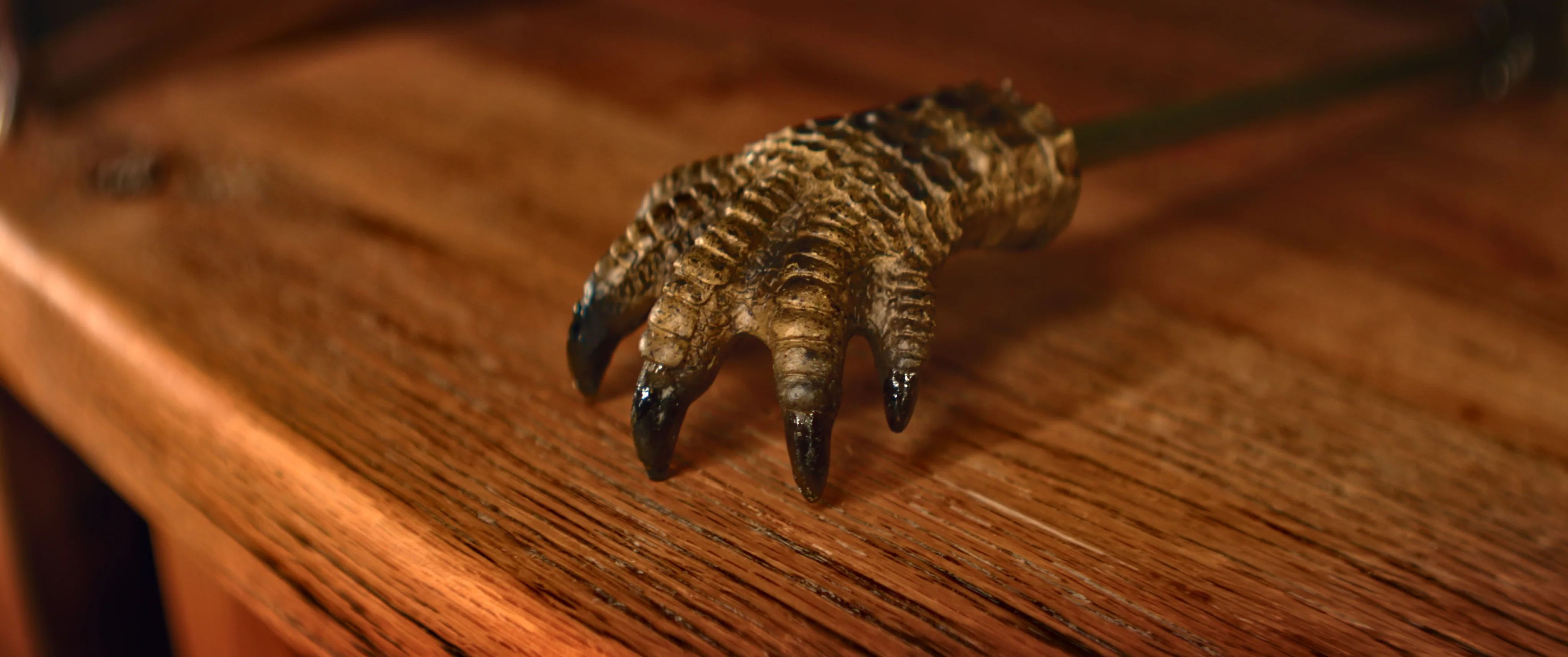Minimalist Back Scratcher-Alligator High-Performance