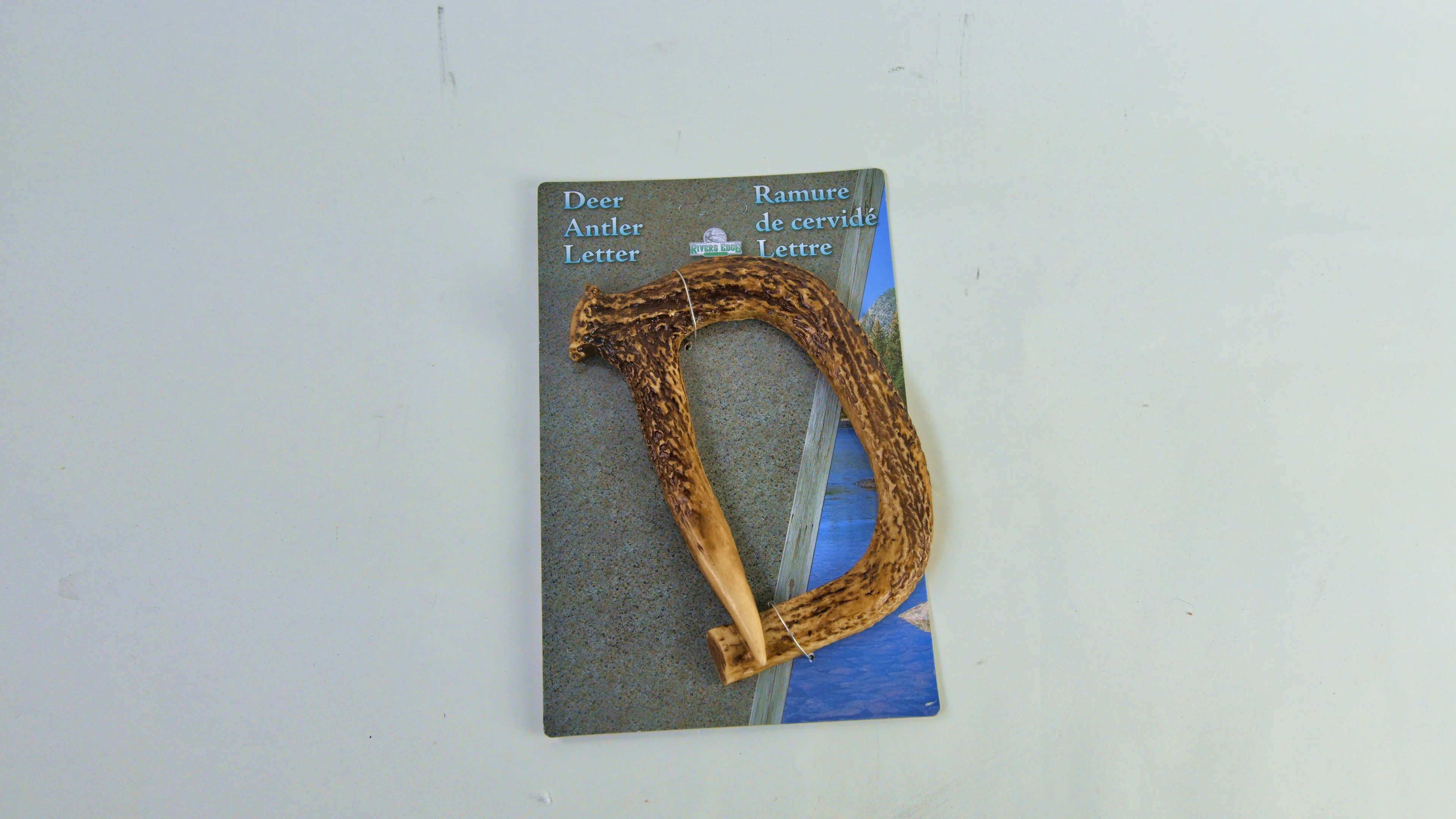 Specialty Antler Letter-D Clean