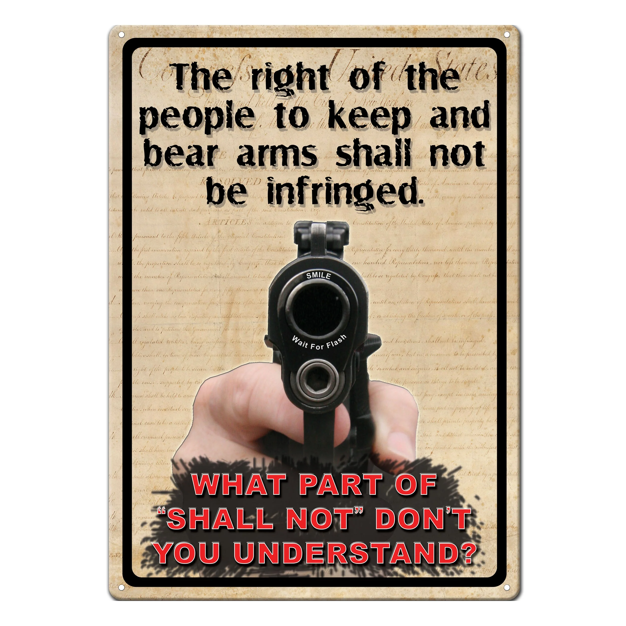 Expertly Made Tin Sign 12in x 17in-Right to Bear Arms Sophisticated