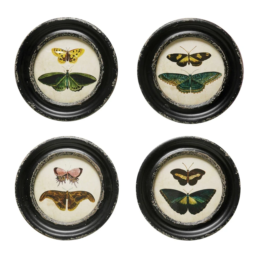 Original Design Framed Moths Butterflies Wall Decor Fine Crafted