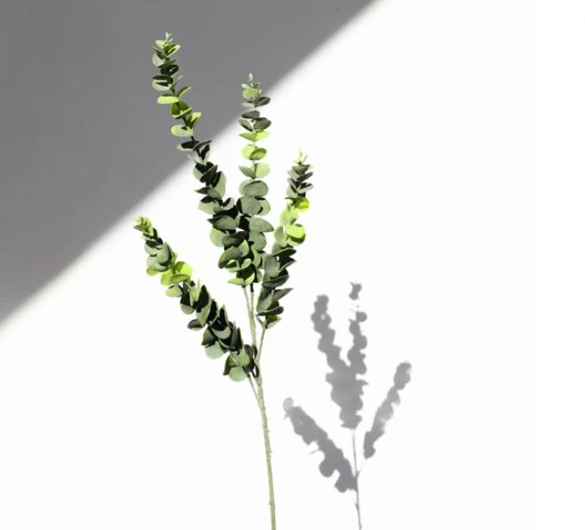 Convenient Eucalyptus Spray Elite