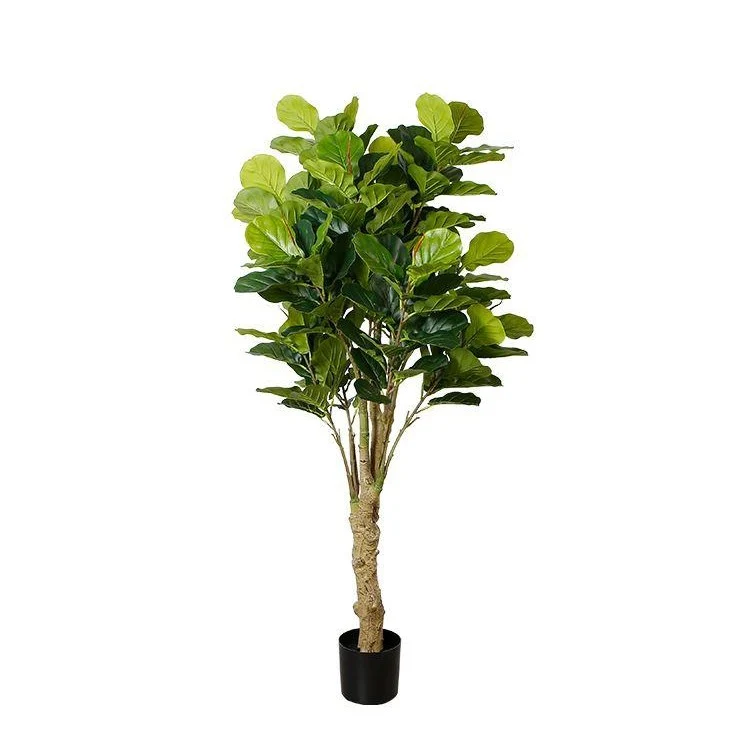 Carefully Designed Fiddle Leaf Fig Faux Plant 185cm 72.8 Prestigious