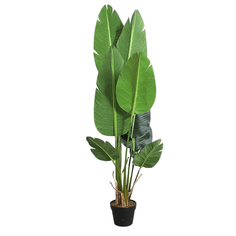 Fine Strelitzia Tree Faux Plant 150cm 59 Contemporary