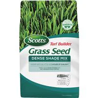 Trendy Scott’s Turf Builder Dense Shade Grass Seed 3lb. Soft
