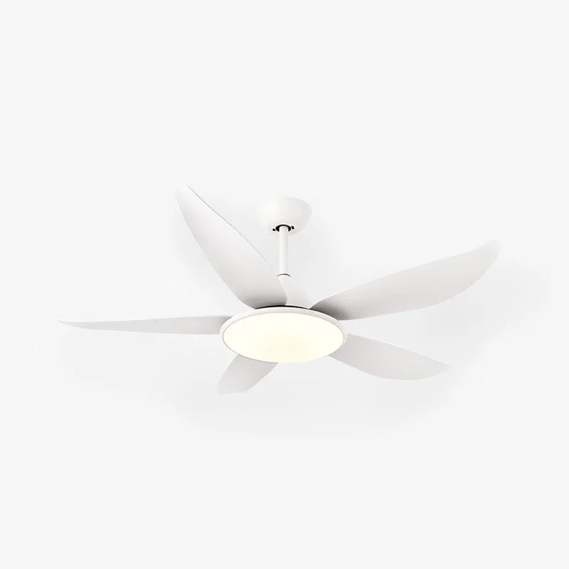 Functional Haydn 5-Blätter Grundlegender Dicker Deckenventilator 2 Farben Metall ABS ∅132CM Comfortable