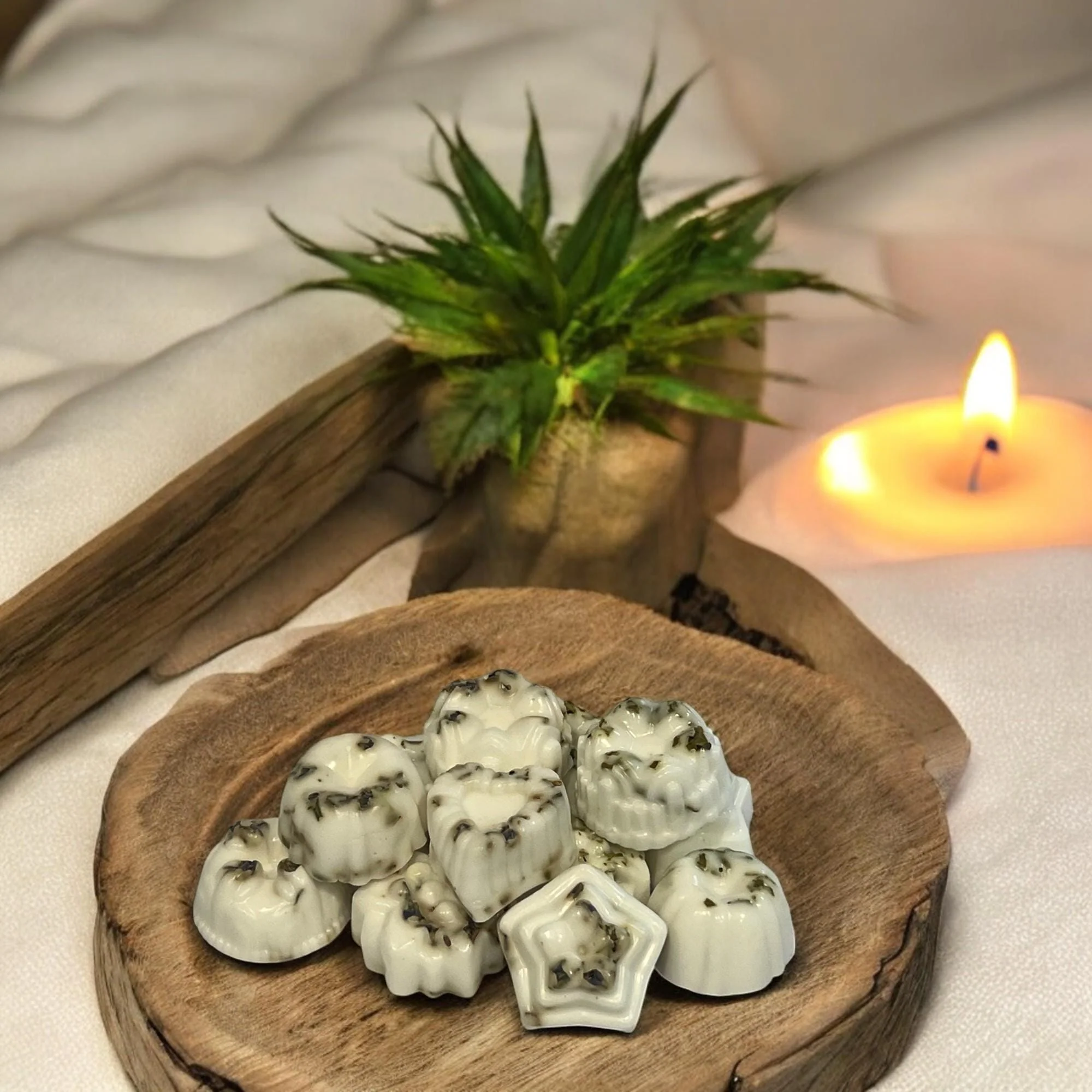 Prestigious Leaf Small Body Soap Set of 10 Intentional Skincare Gifts Solid