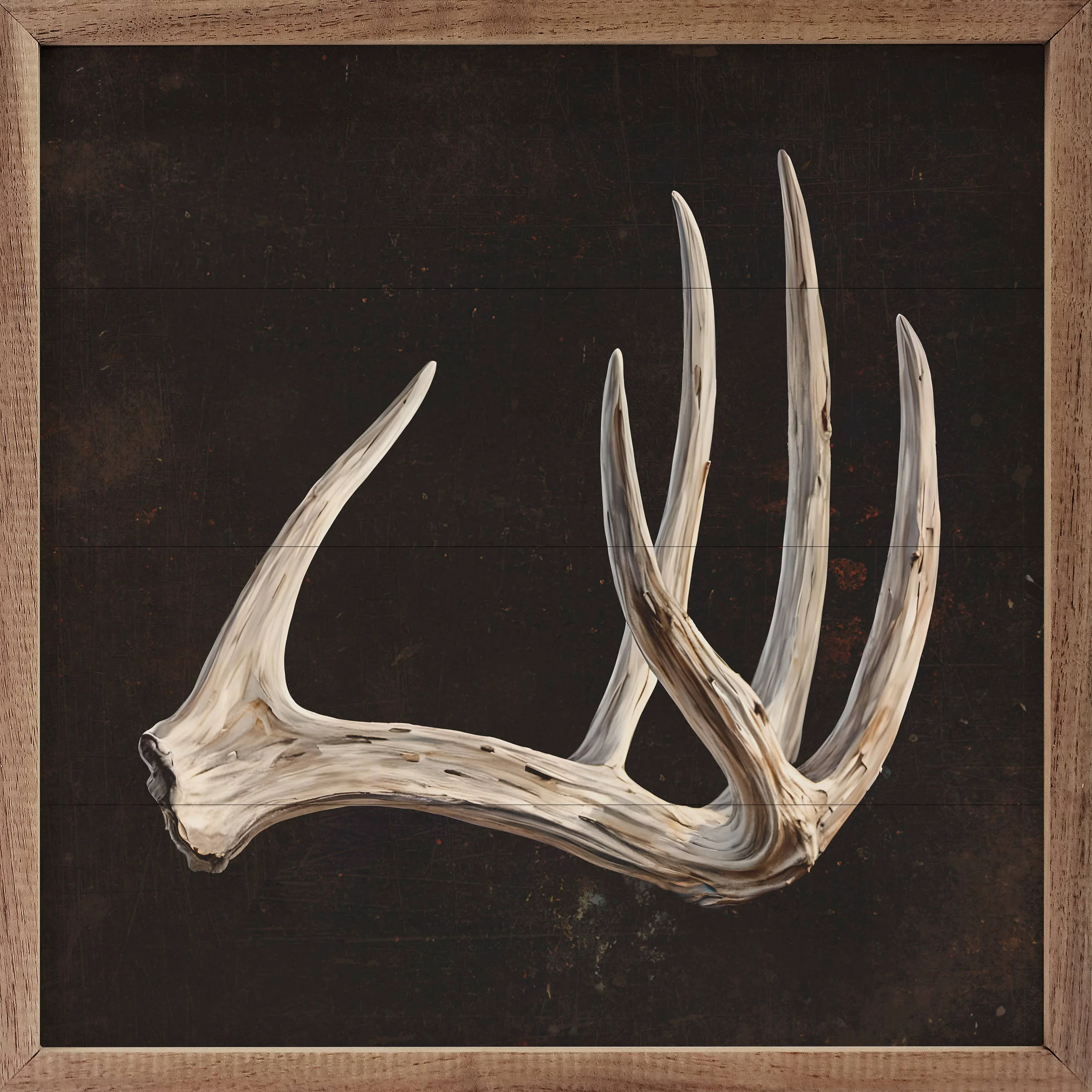 Premium Antler Black Wall Art Sustainable