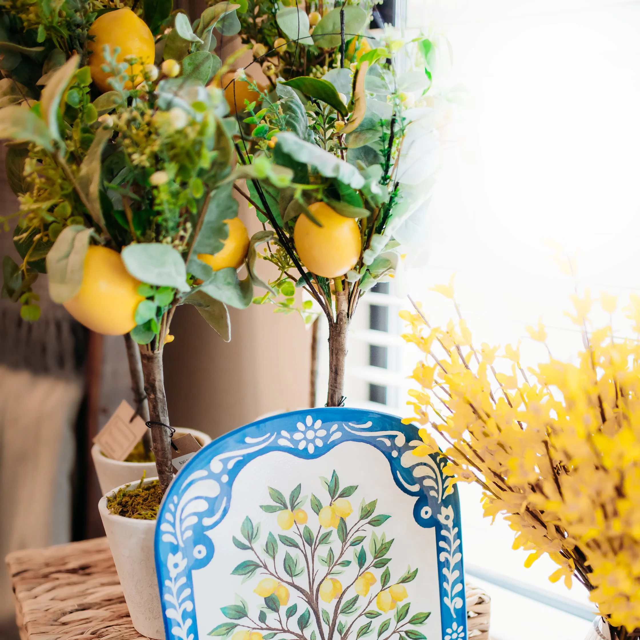 Clean 18 Forsythia Blossoming Branch Recyclable