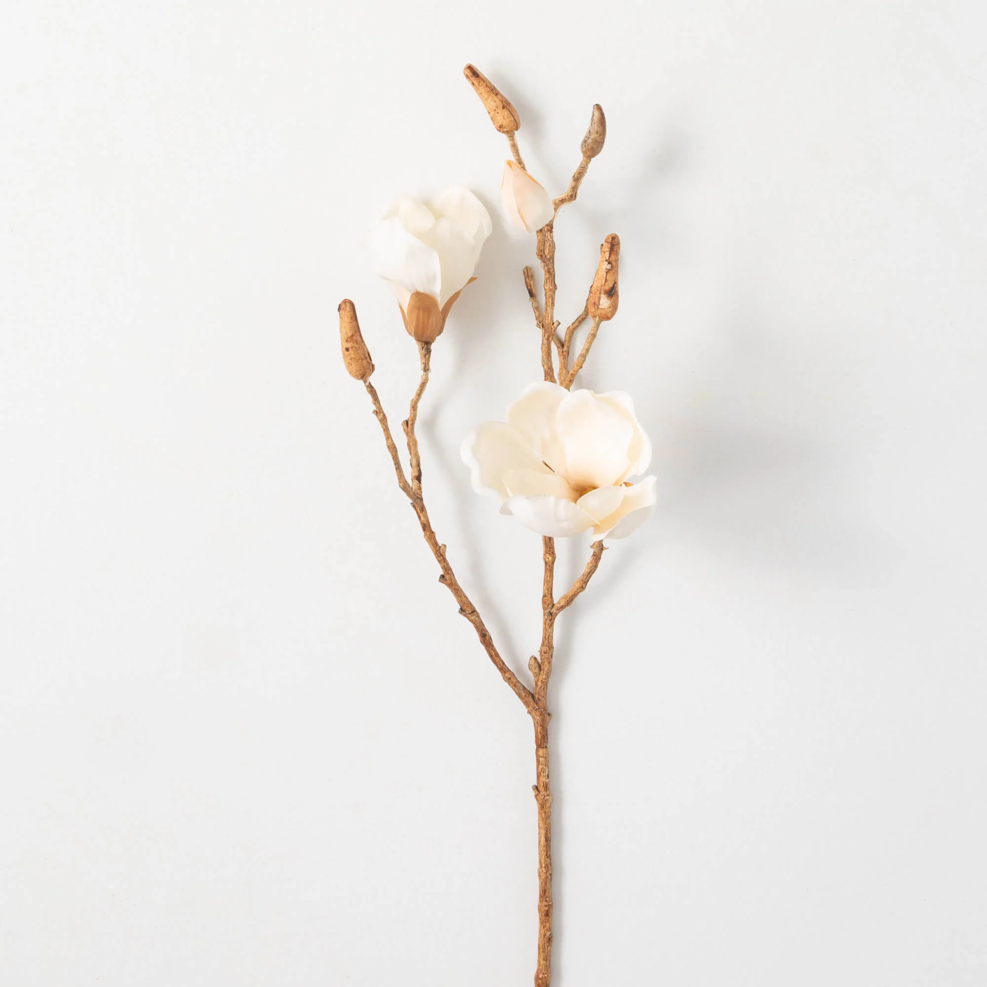 Breathable 27 Cream Blooming Magnolia Branch Powerful