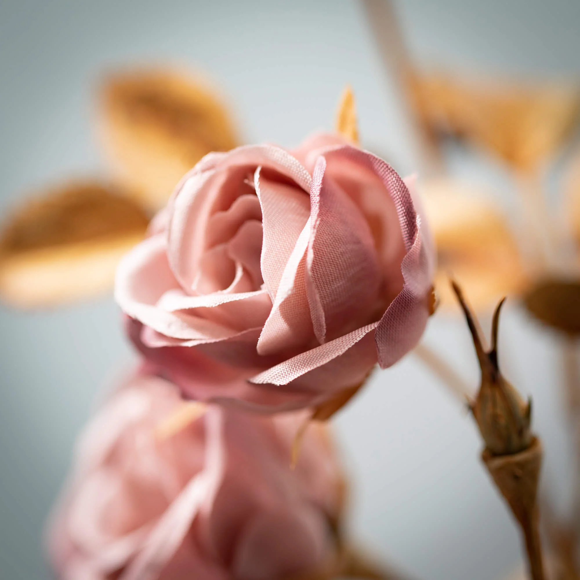 Refined 27 Blush Pink Multi-Bloom Rose Stem Practical