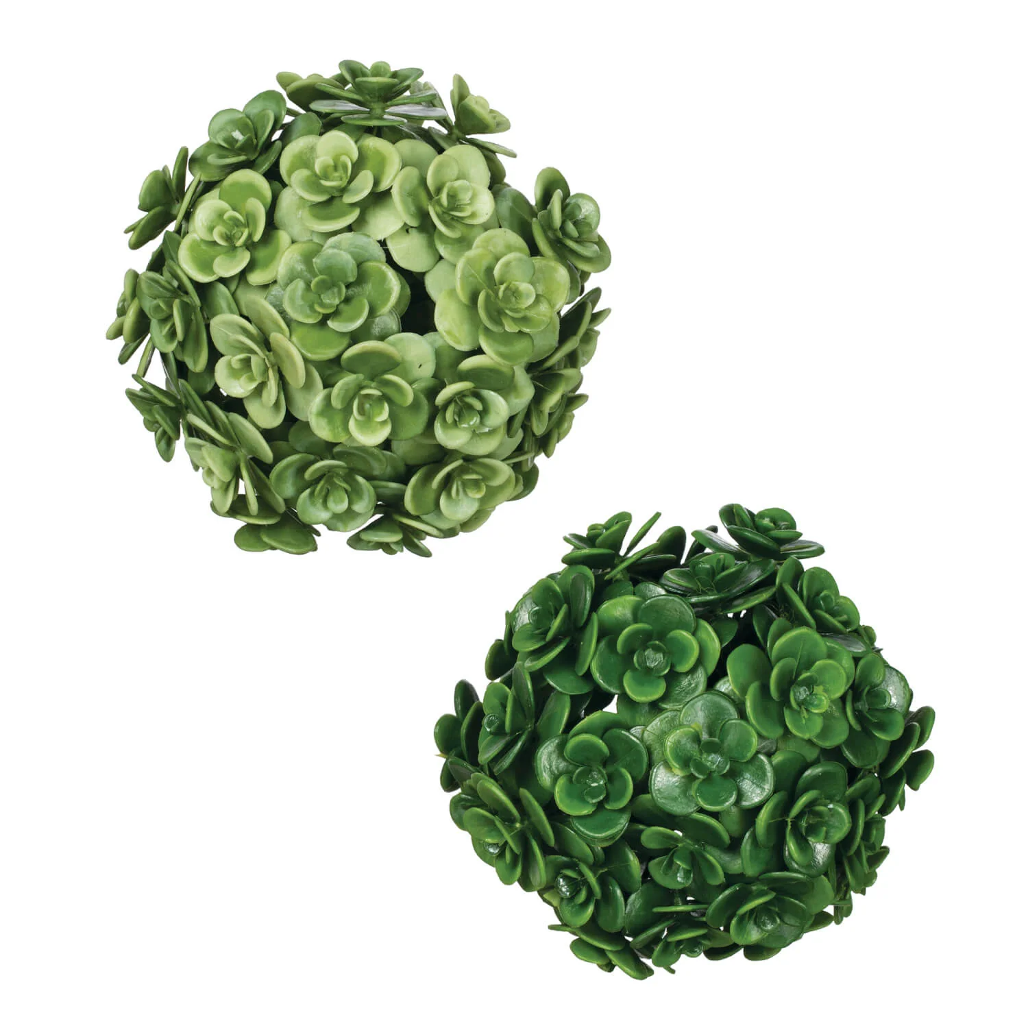 User-Friendly 4 Echeveria Succulent Orbs Flexible