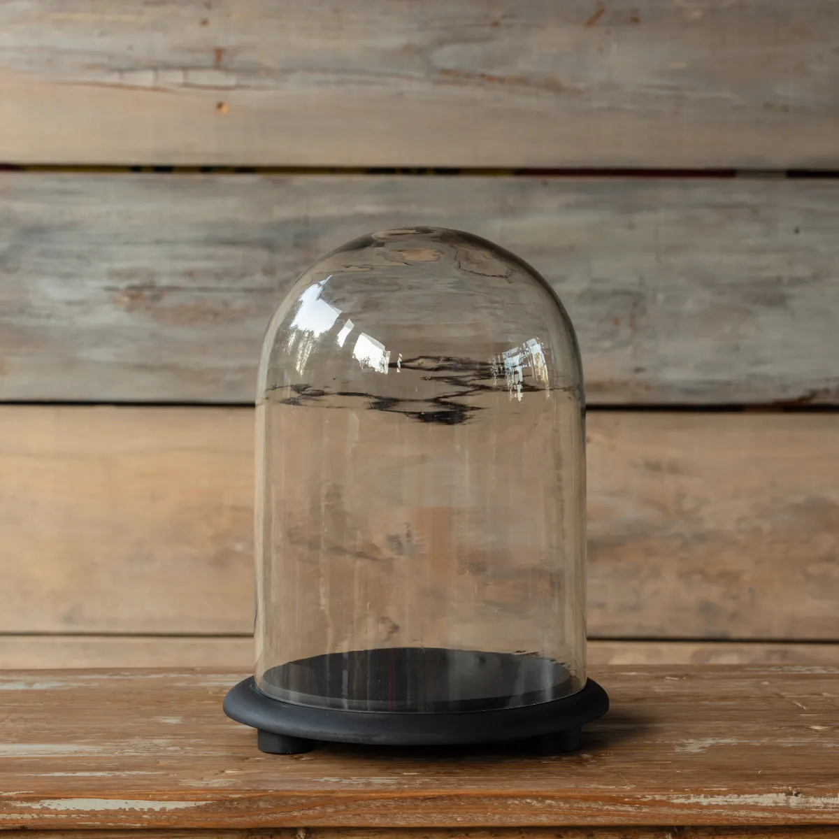 Powerful Vintage Style Glass Display Dome w Medium Base Sustainable