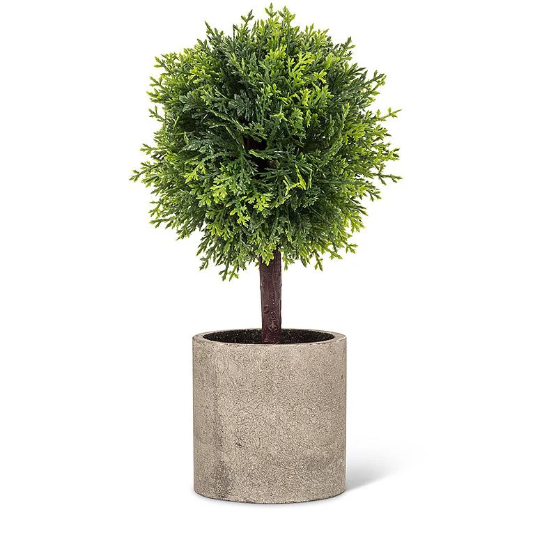 Enhanced Conifer Topiary in Pot 9.5 Environmentally Friendly