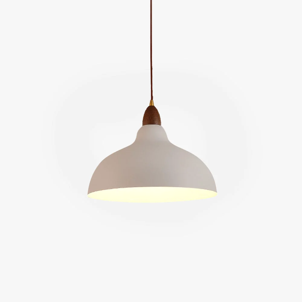 Fashionable Morandi Modern Bowl-shaped Metal Pendant Light Black White Elite