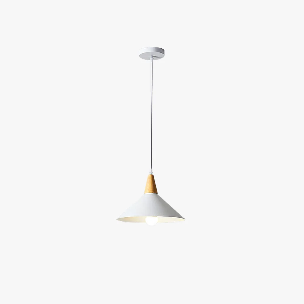 Next-Generation Morandi Minimalist Cap-shaped Metal Pendant Light Natural Wood Effective
