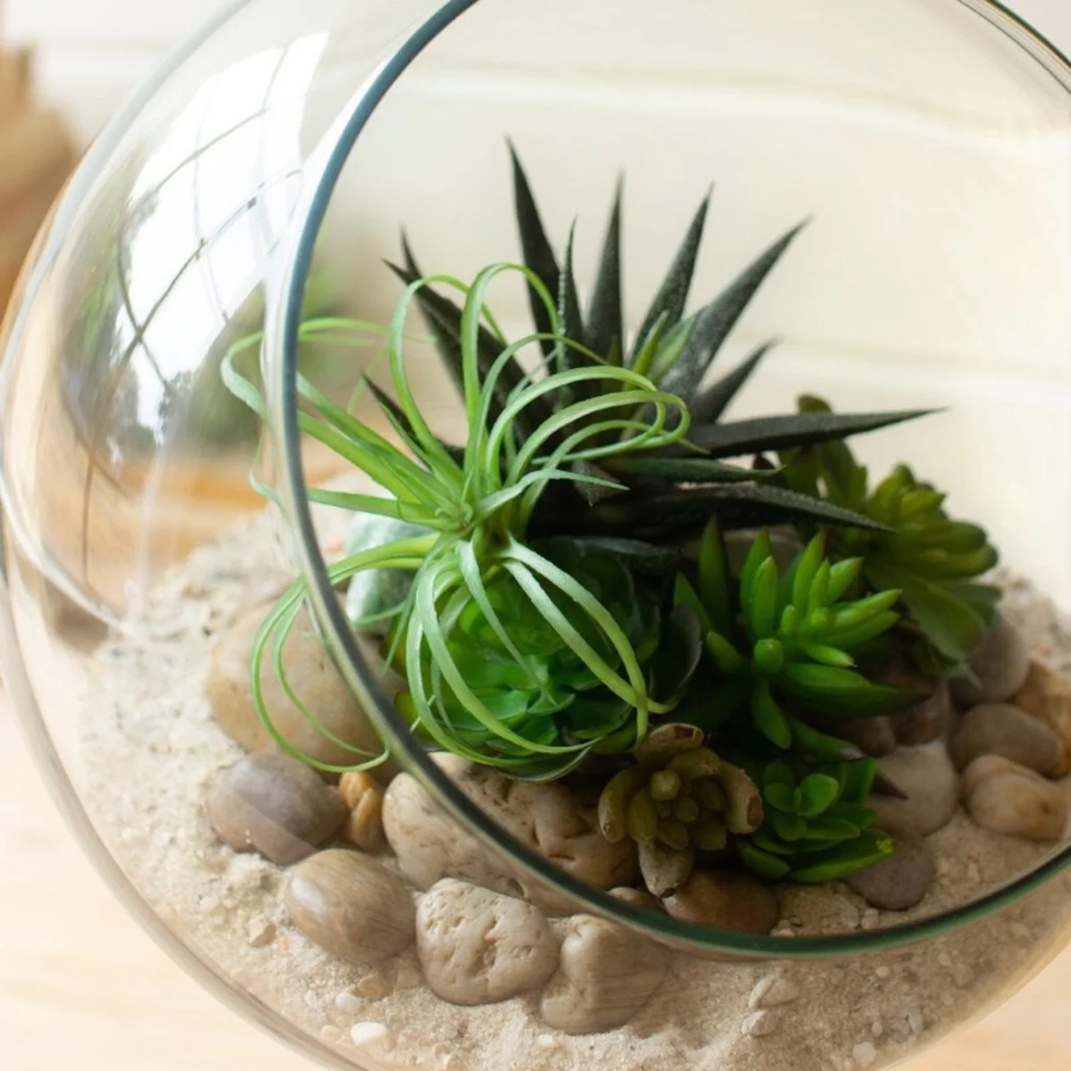 Modern Round Glass Disply Terrarium User-Friendly