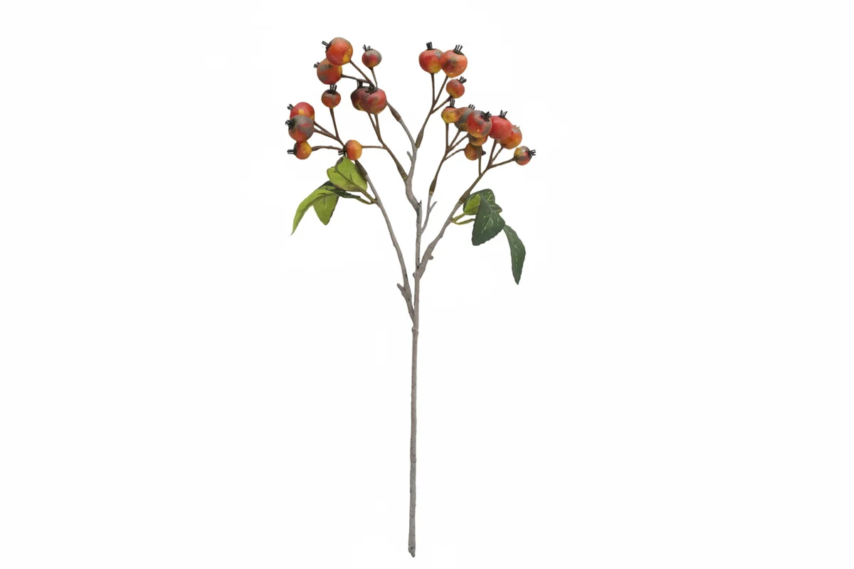 Traditional Linden Berry Stem Orange Organic