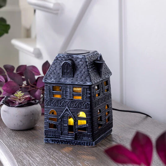 Exceptional Haunted House Canopy Illumination Warmer Original Design