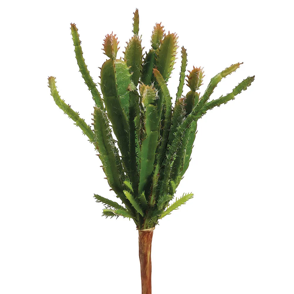 Effective Cactus Pick 8.5in Elegant