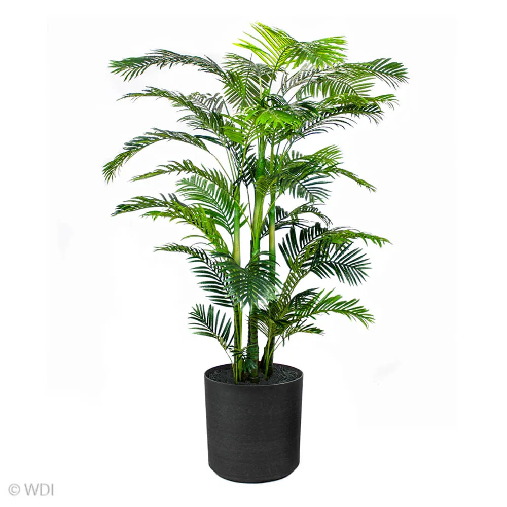 Comfortable Potted Areca Palm 8ft Carefully Designed