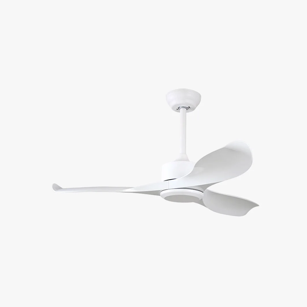 Carefully Designed Haydn 3-Blade Modern DC Ceiling Fan Black White 42” 52” Soft