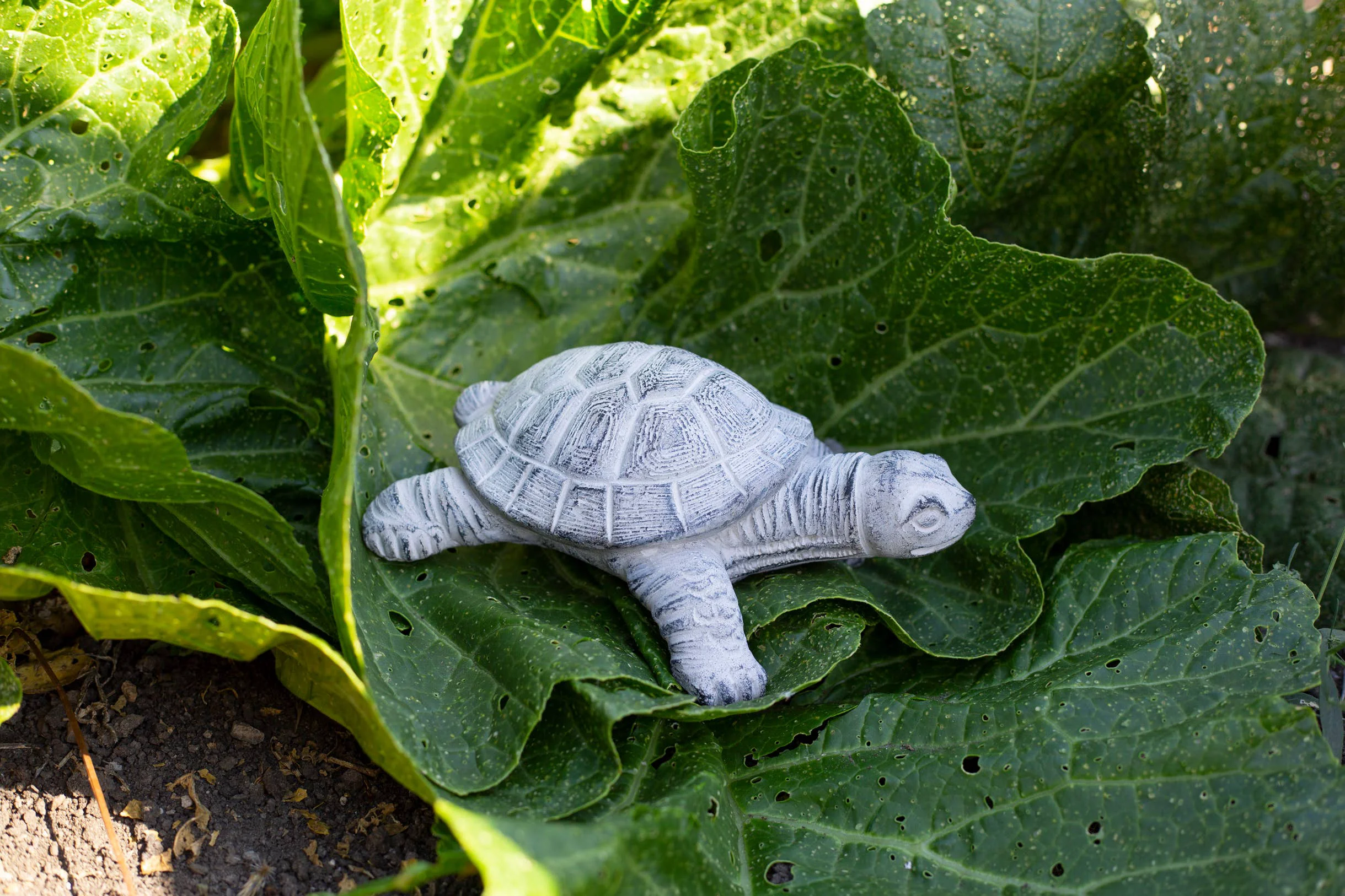 Refined Garden Turtle Premium Material